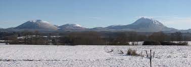 Effective pest control & bed bug exterminator serving bergen, morris, essex, passaic & somerset county. 12th European Vertebrate Pest Management Conference Sciencesconf Org