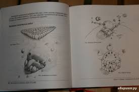 марк кистлер вы сможете рисовать через 30 дней Pdf Illyustraciya 19 Iz 56 Dlya Vy Smozhete Risovat Cherez 30 Dnej Prostaya Poshagovaya Sistema Proverennaya Praktikoj Mark Kistler Labirint Knigi Istochnik Kabanova Kseniya Viktorovna