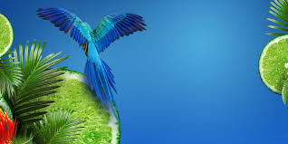 Find everything about cities in brazil, destinations and brazilian's beauty. Brasil Ballantine S
