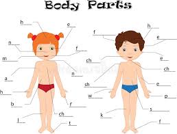 Video ini untuk tujuan pendidikan, mendidik anatomi tubuh wanita.video ini secara menyeluruh akan menunjukkan pemeriksaan visual terhadap tubuh manusia wanit. Boy And Girl Unclothed Body Parts Anatomy Stock Vector Illustration Of Chin Elbow 88316242