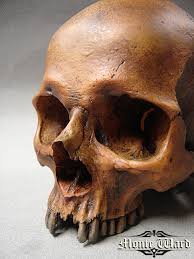 Last time, my first skull sculpting was a 2 clay sculpture of a skull that i held in my hand all the time i worked on it. Human Skull Replica By Dreggs88 On Deviantart