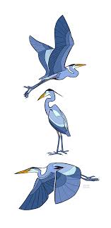 Studies Heron By Oxboxer On Deviantart Heron Art Animal Study Animal Illustration