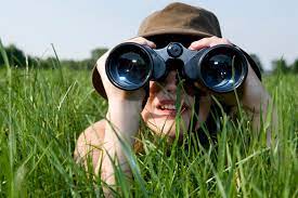 Search, discover and share your favorite looking for something gifs. Looking For Something Ben Franklin S World