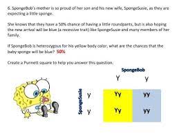 Spongebob's cousin, sponge billybob, recently married a squarepants, spongegerdy. Genetics With Spongebob Learning How To Use Punnett Squares Middle School Science Blog