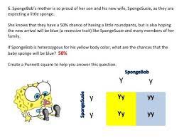 2 out of 4 or 50% note: Genetics With Spongebob Learning How To Use Punnett Squares Middle School Science Blog