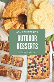 These are some of the best picnic desserts to share. Best Desserts For Outdoor Parties Bake Or Break