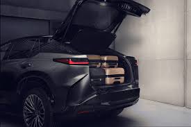 Image result for Black Onyx 2023 RZ