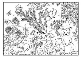 Australian Animals Colouring Page Animal Coloring Pages Australian Animals Australian Art
