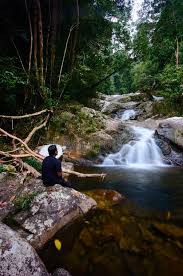 Satu jam video air terjun gunung dan bunyi. Gunung Stong Photos Free Royalty Free Stock Photos From Dreamstime
