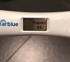 Surrogacy Part 4 Time To Test The Mindful Birth Group