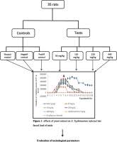 Image result for Harungana montana