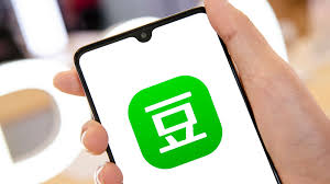 Top 16 Chinese Social Platforms to Watch in 2025
