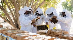 Maybe you would like to learn more about one of these? Golocal Support The Bees And Adopt Your Own Hive Goumbook