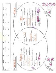 Grade 6 science fusion texas, grade 4: Ohio Science Fusion Grade 8 Digital Lessons Answer Key Part 2 By Beamathtitan