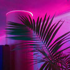 See more ideas about vaporwave aesthetic, vaporwave, pink aesthetic. Aesthetic Bih A Blog On Tumblr Never Miss A Post From Aesthetic Bih Make Gifs Find Your Community Only In The App Get The App No Thanks 1 5m Ratings 277k Ratings See That S What The App Is Perfect For Sounds Perfect Wahhhh I Don T Wanna Side Blog