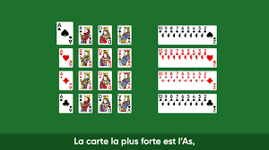 Federation Francaise De Bridge Home Facebook