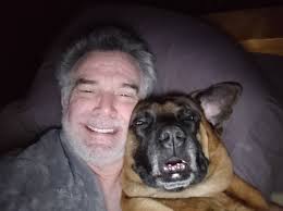 Does anyone naturally attract dogs to them?