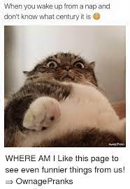 When You Wake Up From A Nap And Don T Know What Century It Is Nap Meme Nap Funny Memes