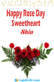 Rose day is commended as the main day of the valentine's week by individuals in adoration all over the world. Shiv Happy Rose Day Wishes Quotes And Messages January 2021
