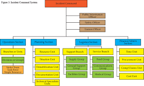 41 true fire department flow chart