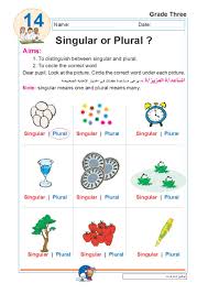 صيغة المفرد والجمع في الاسم Plural Singular