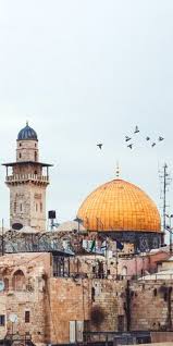 Best collections of palestine wallpaper for desktop, laptop and mobiles. 530 Palestine ÙÙ„Ø³Ø·ÙŠÙ† Ideas Palestine Palestine History Jerusalem