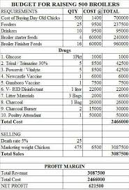 Business Plan Ya Kuanzisha Mradi Wa Kuku Wa Nyama Broiler 500 Jamiiforums