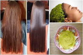 Resultado de imagem para mascara de abacate para cabelo