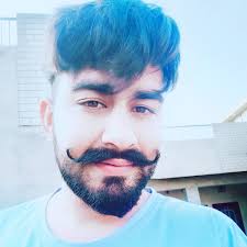 Vicky Brar's Instagram, Twitter & Facebook