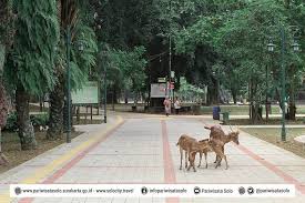 Jadwal buka taman rusa : Wajah Baru Wisata Taman Balekambang Solo Update Solo Info