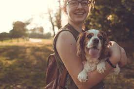 Our mission is to protect and advocate for all animals. How To Adopt A Dog In New Jersey Fees Tips Rescues