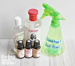 Diy Natural Fruit Fly Trap Essential Oil Spray Living Well Mom