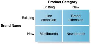 When a company has created and executed a successful. Branding Decisions 4 Brand Strategy Decisions