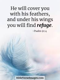 Psalm 91:4 - Best Bible Verse - Bible Verse Images