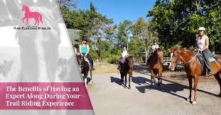 De nombreux français adoptent des animaux de compagnie, notamment des chiens. Trail Riding Palm Beach County
