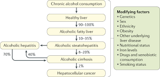 Alcoholic Liver Disease Nature Reviews Disease Primers