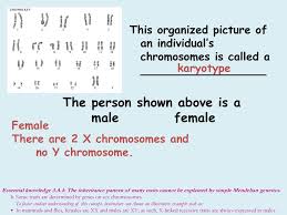 Heterozygous individuals that can pass on recessive, abnormal conditions are referred to as: Ap Biology Genetics Review Ppt Download
