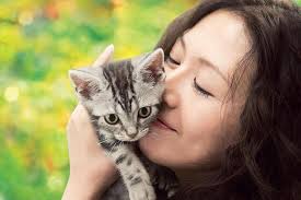 Gu Gu the Cat (グーグーだって猫である, Isshin Inudo, 2008)