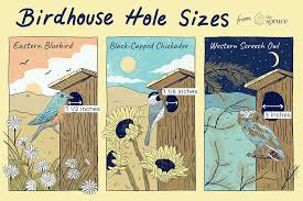 Best Dimensions For Birdhouse Entrance Holes