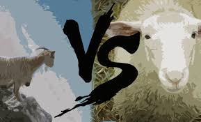 Αρνί στη λαδόκολλα από την αργυρώ μπαρμπαρίγου | φανταστική συνταγή για αρνίσιο μπούτι στο φούρνο με μυρωδικά. Arni Vs Katsiki Ti Na Epile3w Keepup