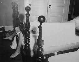 Image result for "Sam Sheppard"