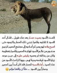صور مكتوب عليها حقائق مدهشة Quotes For Book Lovers Lifes Challenges Quotes Funny Arabic Quotes