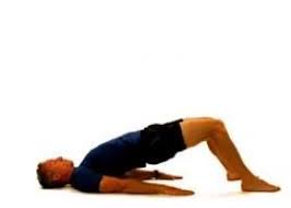 Pin By Patrick Stonelake On Achilles Rehab Inner Thigh Muscle Thigh Muscles Inner Thigh
