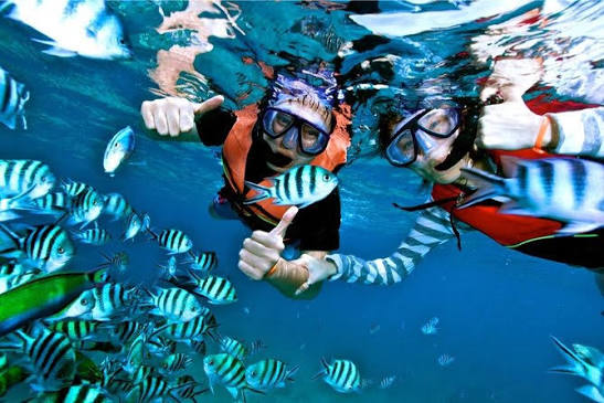 Mantanani Island Snorkeling Tour (with Reviews)