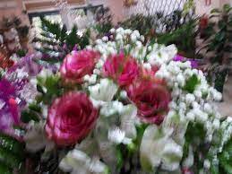 Immagini di buon compleanno divertenti. Fiori Auguri Di Buon Compleanno Immagini Buono Compelanno