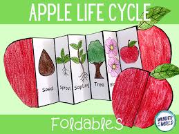 Apple life cycle coloring pages. Apple Life Cycle Foldables Teaching Resources