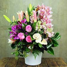 Check spelling or type a new query. My Love Roses Lilies Anthuriums Orchids