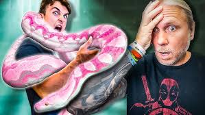 MY TWO HEADED SNAKES DIED... THE STORY BEHIND BEN and JERRY!!