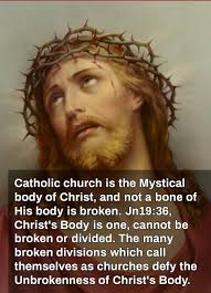 Catholic Church Is The Mystical Body Of Christ And Not A Bone Of His Body Is Broken Jn19 36 Christ S In 2020 Saint Quotes Catholic Catholic Prayers Catholic Quotes