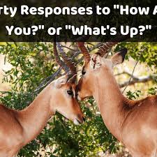 Examples being just living the dream or another day in paradise.. 100 Flirty Responses To How Are You Or What S Up Pairedlife